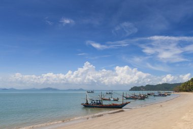 Longtail tekne ve güzel bir plaj. Koh tao, Tayland
