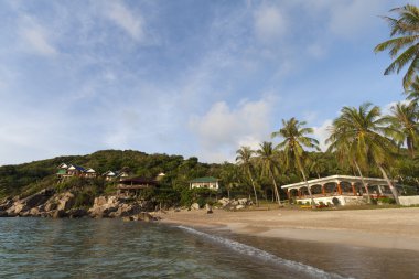 güzel tropik ada güzel bungalov ile. Koh tao Island, Tayland