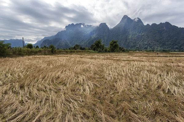 Campo de arroz y montañeses en Vang Vieng, Laos . — Foto de Stock