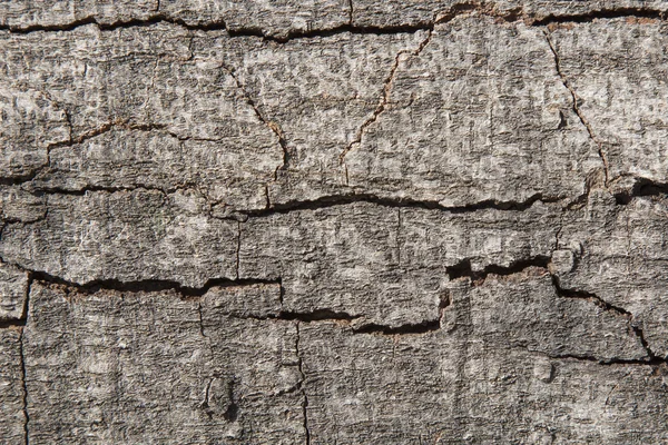 Wood texture background — Stock Photo, Image