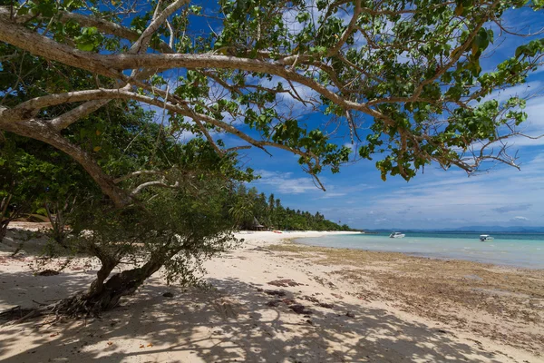Koh Talu är en privat ö i Gulf of Thailand Stockbild
