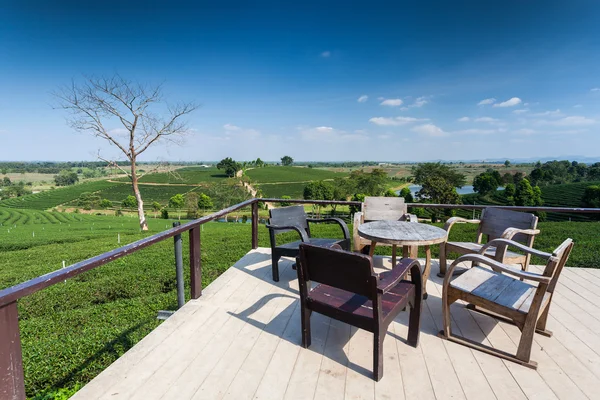 Choui Fong Chá fazenda, Chiang Rai Tailândia — Fotografia de Stock