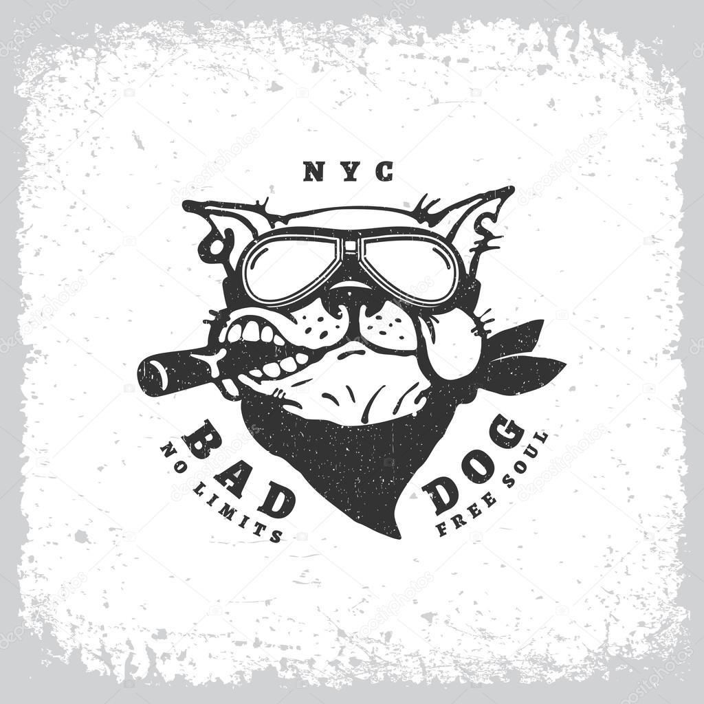 Vintage label with bulldog in goggles on grunge background for t-shirt print, poster, emblem. Vector illustration.