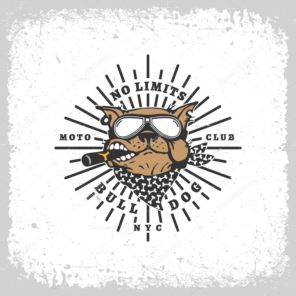 Vintage label with bulldog in goggles and rays on grunge background for t-shirt print, poster, emblem. Vector illustration.