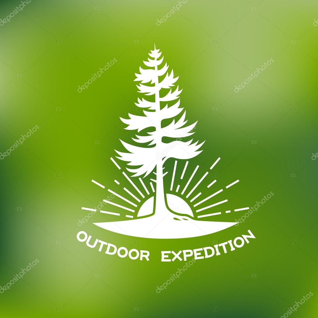 Template for logos, labels and emblems with spruce, sun and rays. Vector illustration.