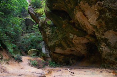  the Witches' Gorge in the Cikowice malopolska