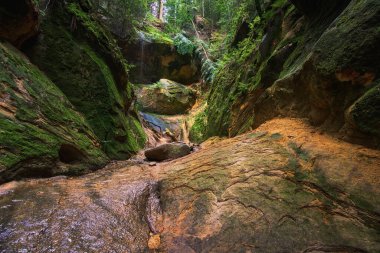  the Witches' Gorge in the Cikowice malopolska
