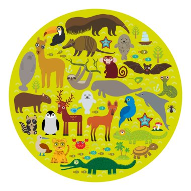 South America sloth anteater toucan lama bat seal armadillo boa manatee monkey dolphin Maned wolf raccoon jaguar Hyacinth macaw lizard turtle crocodile deer penguin Blue-footed booby Capybara. Vector