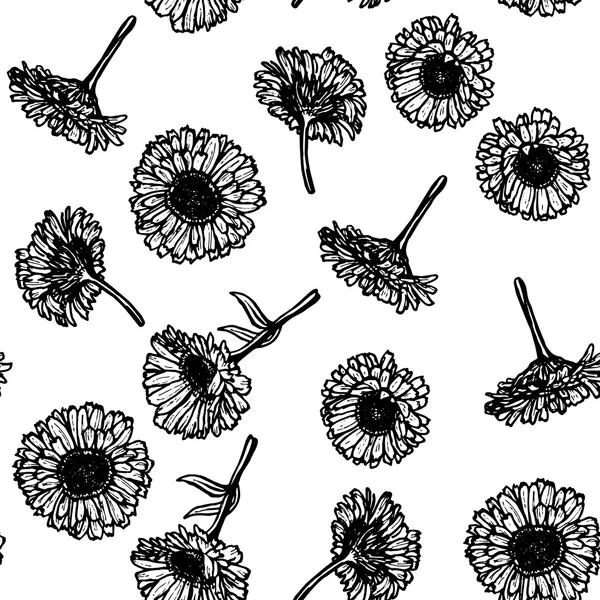 Ringblomma blommor, skiss seamless mönster, svart kontur på vit bakgrund. Vektor — Stock vektor