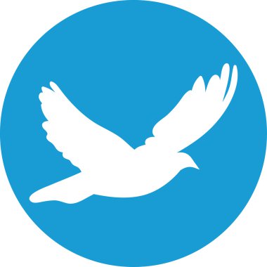 Barış kavramı ve düğün tasarımı için güvercin. uçan üzerinde beyaz güvercin 