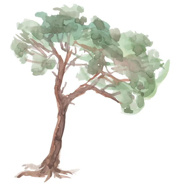 Árbol de pino — Vector de stock