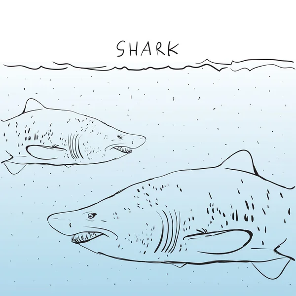 Zwei große weiße Haie im Wasser. Skizze. schwarzer Umriss auf einem b — Stockvektor
