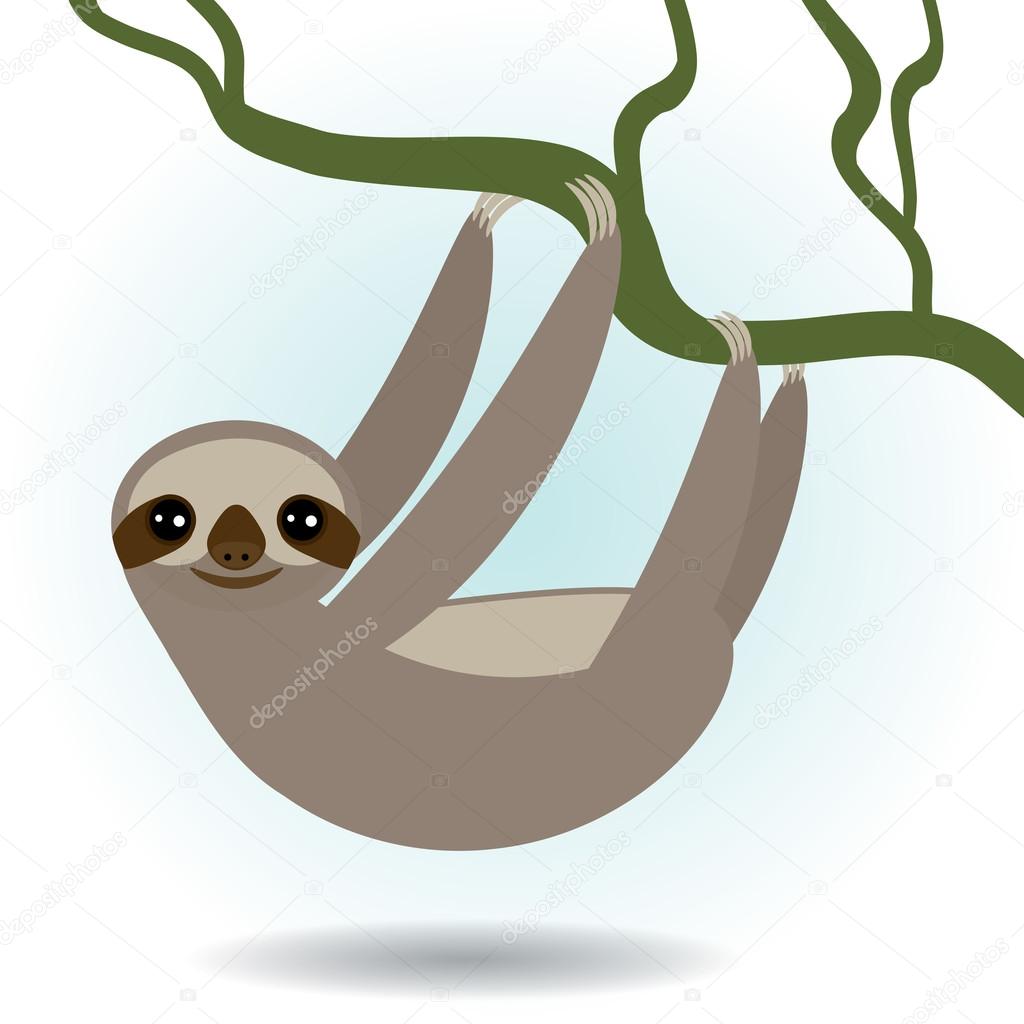 Three-toed sloth on green branch on white background. vector