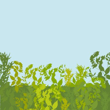 Metniniz için yeşil yaprak siluet ve mavi gökyüzü kartı ile soyut tasarım. Vektör