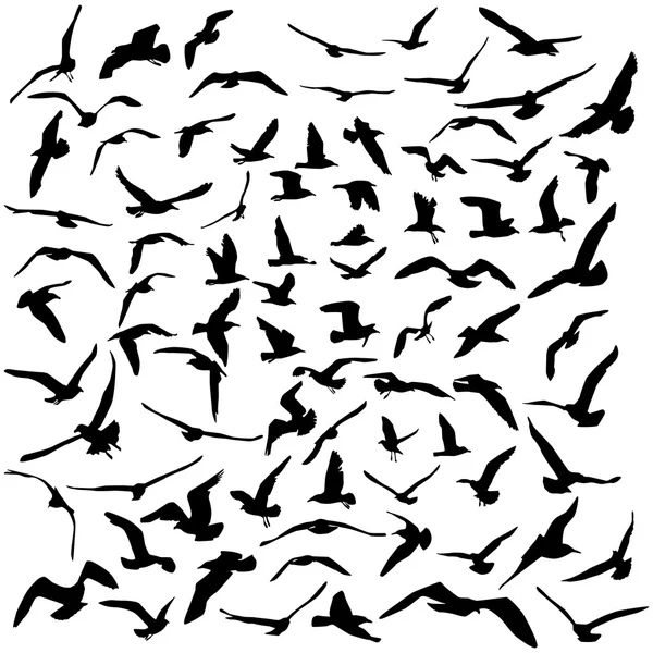 Seagulls svart siluett på vit bakgrund. Vektor — Stock vektor