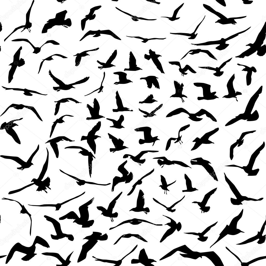 Seagulls black silhouette on white background. Seamless pattern. Vector