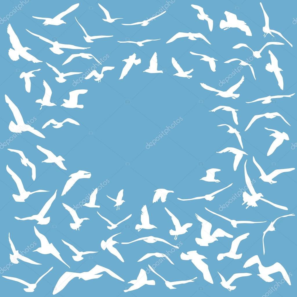 Seagulls white silhouette on blue background. Card design. Vector