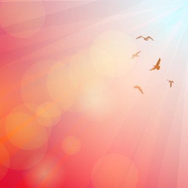 Birds, seagulls silhouette in the rays on pink background, sunset, dawn. Vector