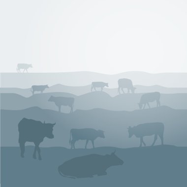 Cows graze in the field, landscape, sky, grass, pasture. Blue, gray silhouette background. Vector
