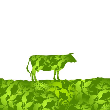 Cow silhouette  graze in the field, landscape, grass, pasture. green  background.  Vector