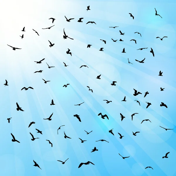 Pássaros, gaivotas, silhueta preta no fundo azul. Vetor —  Vetores de Stock