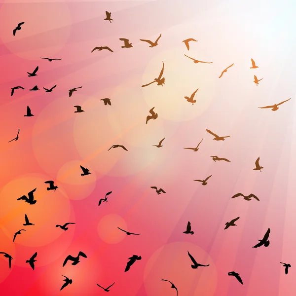 Pájaros, gaviotas silueta negra sobre fondo rosa, puesta de sol, amanecer. Vector — Vector de stock