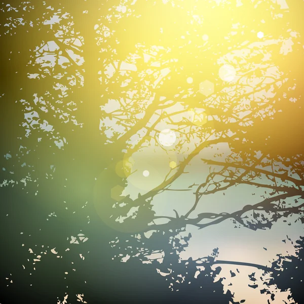 Diseño de verano, árboles forestales, naturaleza madera verde luz del sol fondo verde natural. Vector — Archivo Imágenes Vectoriales