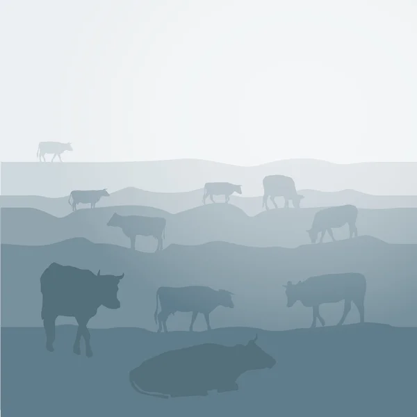 Las vacas pastan en el campo, el paisaje, el cielo, la hierba, los pastos. Fondo azul, silueta gris. Vector — Archivo Imágenes Vectoriales