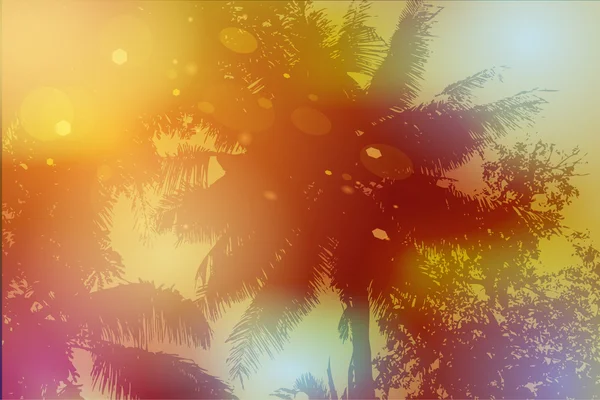 Sky, palm trees, sunset, sun glare. Vector — ストックベクタ