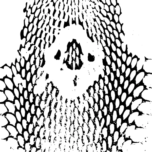 Cobra cabeza Piel de serpiente textura abstracta. negro sobre fondo blanco. Vector — Archivo Imágenes Vectoriales
