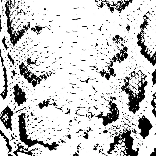 Snake skin abstract texture. black on white background. Vector — Stock vektor