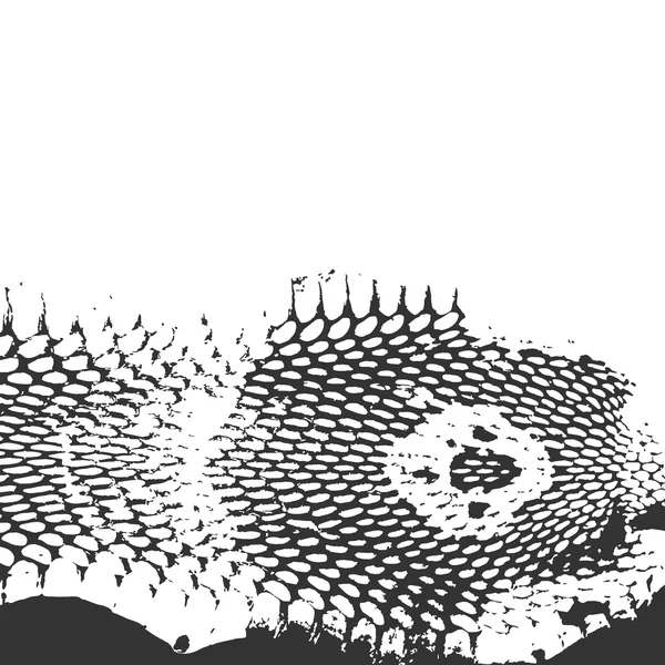 Snake skin abstract texture, cobra head. black on white background. Vector — Stock vektor