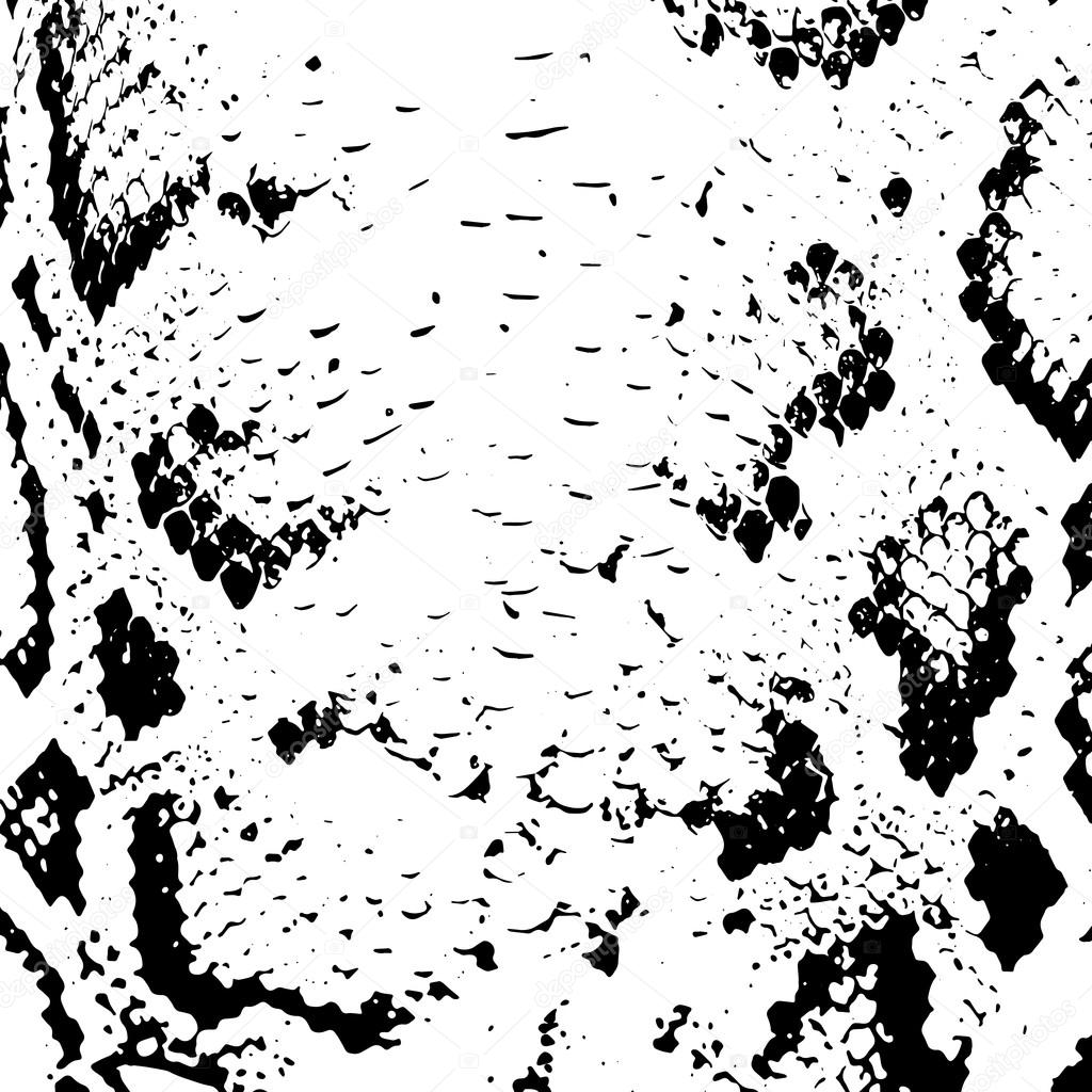 Snake skin abstract texture. black on white background. Vector