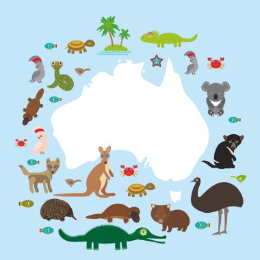 map of Australia. Echidna Platypus ostrich Emu Tasmanian devil Cockatoo parrot Wombat snake turtle crocodile kangaroo dingo octopus fish. Vector