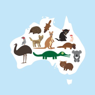 map of Australia. Echidna Platypus ostrich Emu Tasmanian devil Cockatoo parrot Wombat crocodile kangaroo dingo. Vector