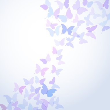 blue card design summer butterflies set on white background. Vector