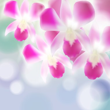 Beautiful Orchids on blurred blue background. Vector