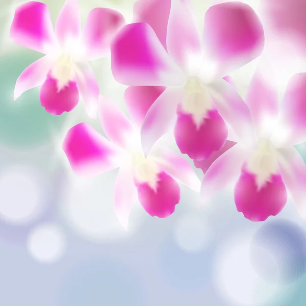 Orquídeas bonitas no fundo azul borrado. Vetor — Vetor de Stock
