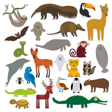 South America sloth anteater toucan lama bat fur seal armadillo boa manatee monkey dolphin Maned wolf raccoon Hyacinth macaw lizard turtle crocodile deer penguin Blue-footed booby Capybara. Vector