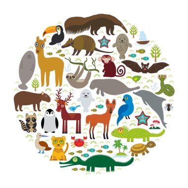 South America sloth anteater toucan lama bat seal armadillo boa manatee monkey dolphin Maned wolf raccoon jaguar Hyacinth macaw lizard turtle crocodile deer penguin Blue-footed booby Capybara. Vector
