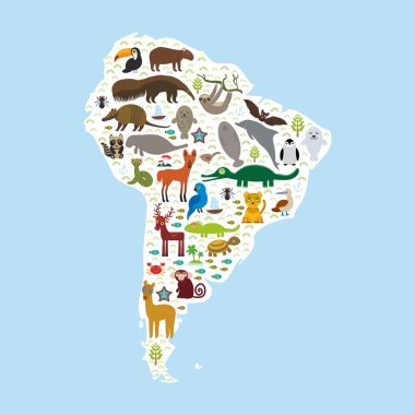 South America sloth anteater toucan lama bat fur seal armadillo boa manatee monkey dolphin Maned wolf raccoon jaguar Hyacinth macaw lizard turtle crocodile penguin Blue-footed booby Capybara. Vector