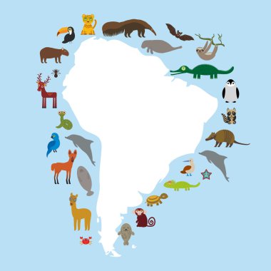 South America sloth anteater toucan lama bat seal armadillo boa manatee monkey dolphin Maned wolf raccoon jaguar Hyacinth macaw lizard turtle crocodile deer penguin Blue-footed booby Capybara. Vector