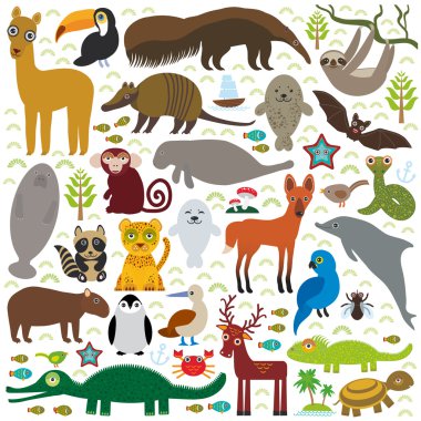 South America sloth anteater toucan lama bat fur seal armadillo boa manatee monkey dolphin Maned wolf raccoon jaguar Hyacinth macaw lizard turtle crocodile deer penguin  booby Capybara. Vector