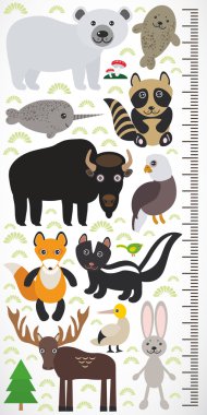 Animals of North America - narwhal polar bear fur seal raccoon skunk fox eagle bison elk gannet hare. Children height meter wall sticker. Vector