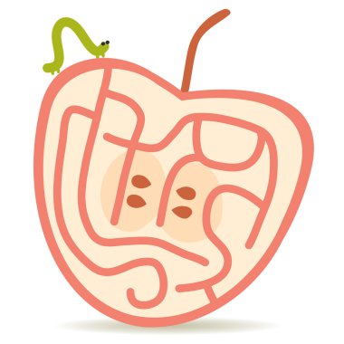 Green caterpillar and pink apple on white background  labyrinth game for Preschool Children. Vector
