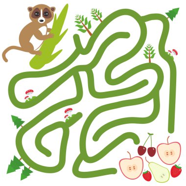 Lemur on the branch and the apple pear strawberry cherry on white background  labyrinth game for Preschool Children. Vector