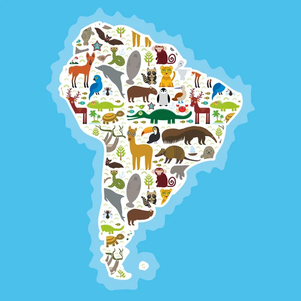 South America sloth anteater toucan lama bat fur seal armadillo boa manatee monkey dolphin Maned wolf raccoon jaguar Hyacinth macaw lizard turtle crocodile deer Blue-footed booby Capybara. Vector — Stock Vector