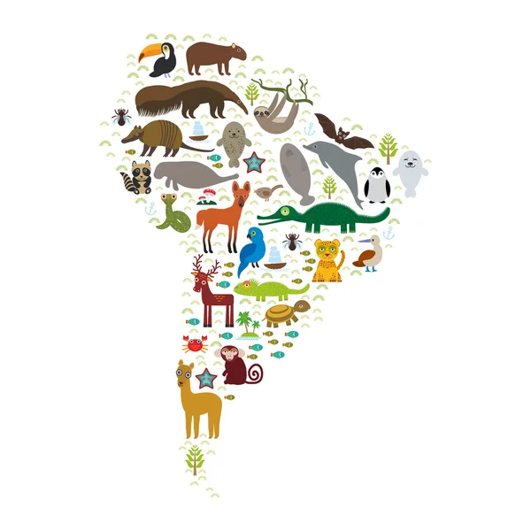South America sloth anteater toucan lama bat fur seal armadillo boa manatee monkey dolphin Maned wolf raccoon jaguar macaw lizard turtle crocodile deer penguin Blue-footed booby Capybara. Vector