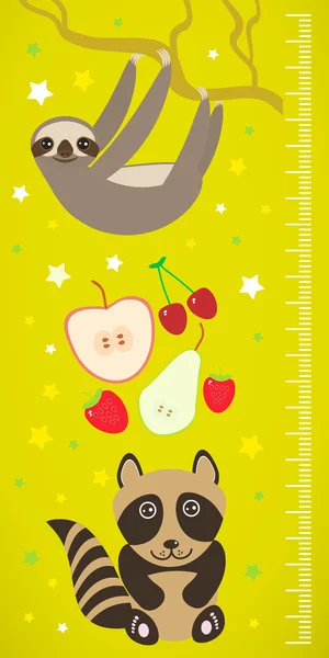 Raccoon sloth and apple pear strawberry cherry on green background Children height meter wall sticker. Vector — Stock Vector