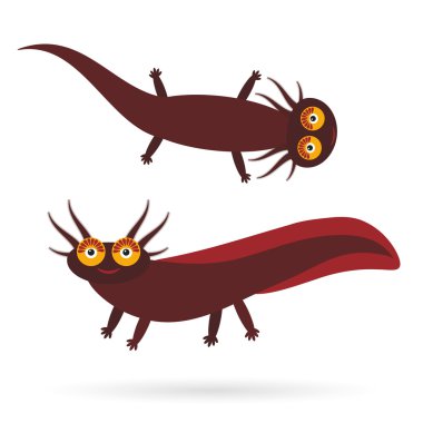 Cute brown Mexican Axolotl Cartoon character (eastern tiger salamander) aquarium animal on white background. Vector